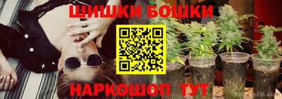 крисы Дубна