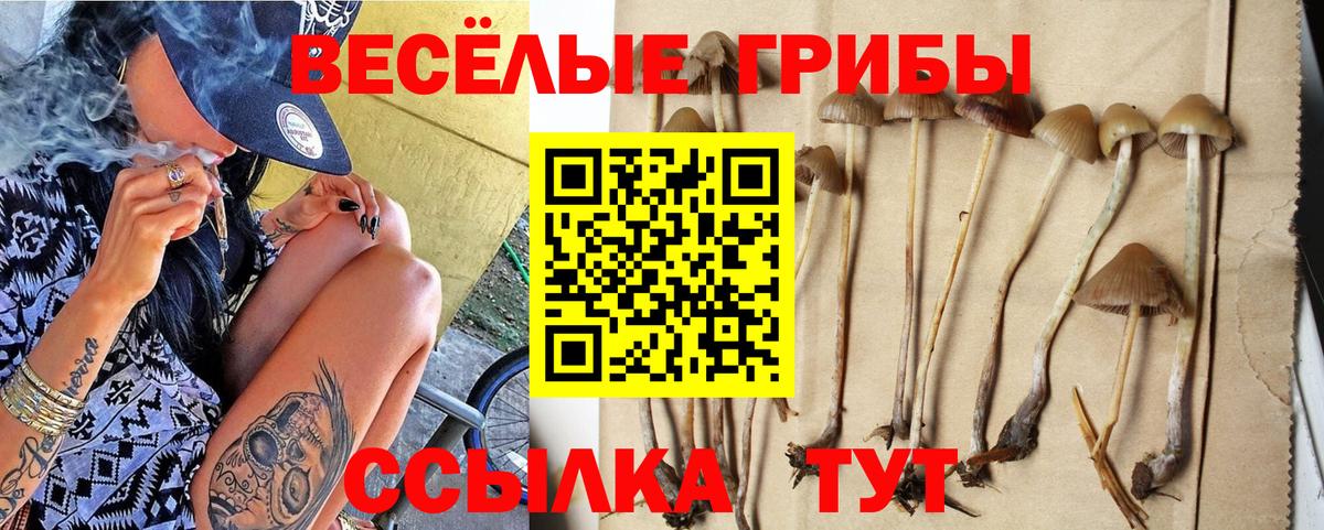 Псилоцибиновые грибы MAGIC MUSHROOMS  Псилоцибиновые грибы MAGIC MUSHROOMS  Вход с VPN  Лесосибирск 