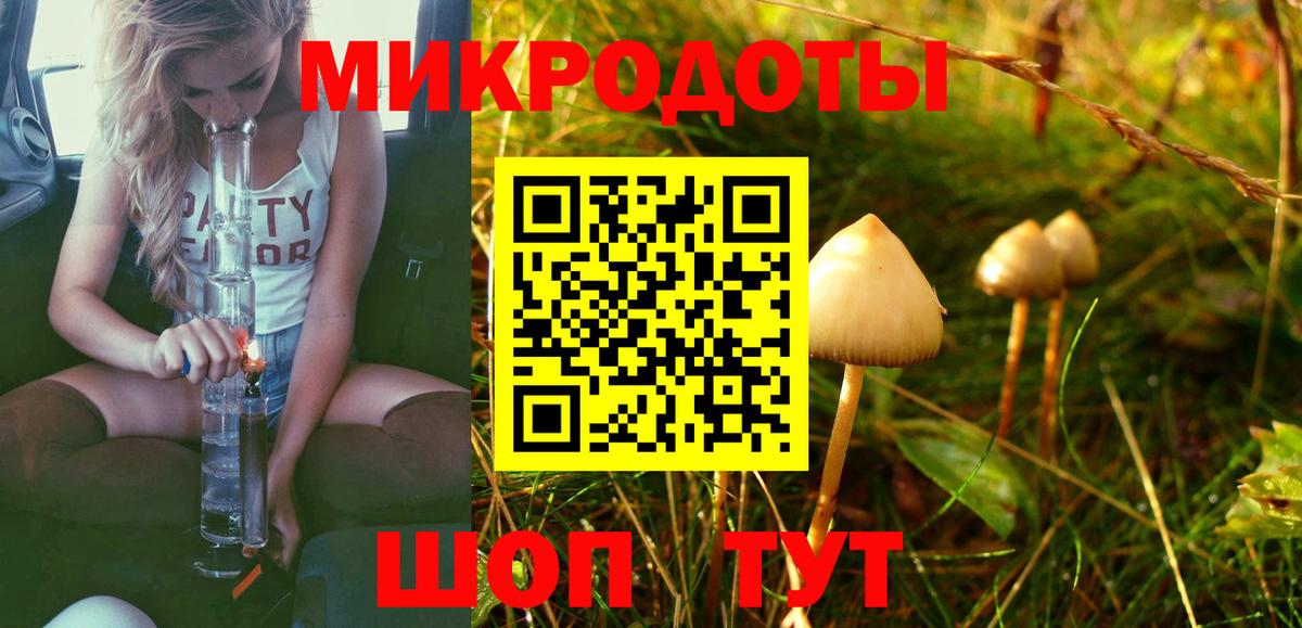 Галлюциногенные грибы Psilocybine cubensis Лесосибирск